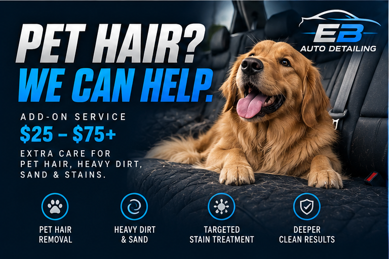 Pet hair? We can help — dog on a vehicle seat